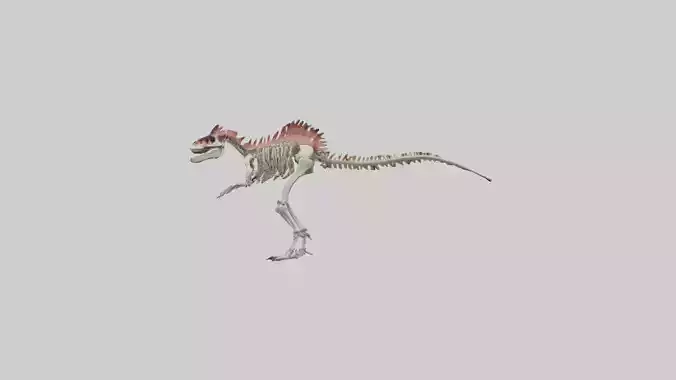 Carnotaurus Skeleton model
