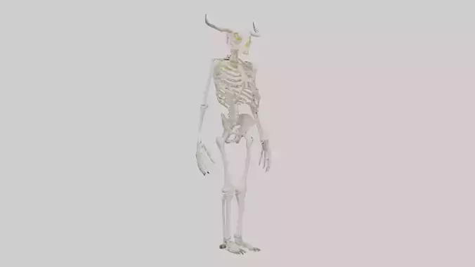 Cow Skeleton model Low-poly 3D model