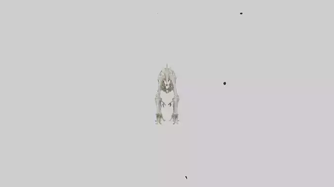 Diplodocus Skeleton model