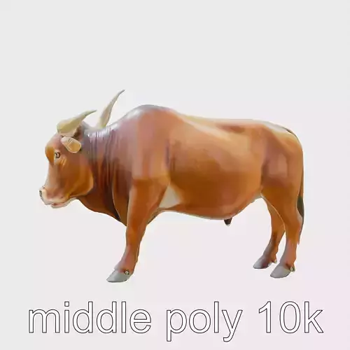 Texas Longhorn Bull with Iconic Large Horns