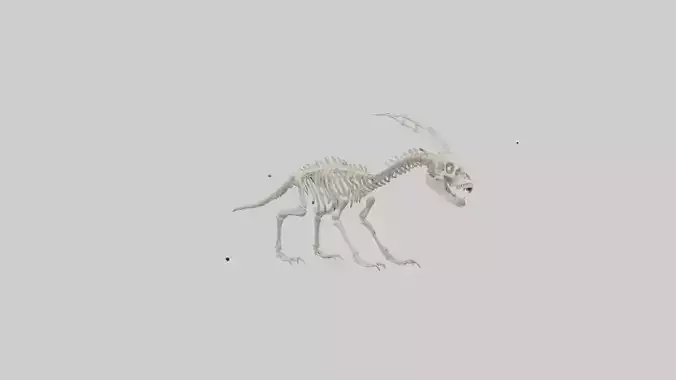 Hallucigenia Skeleton model