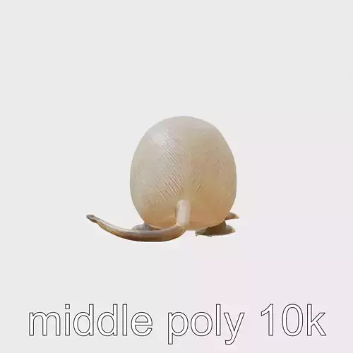 Realistic Nutria Model with Textured Fur and Natural Base