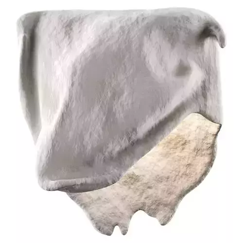 Castimonia Corporis LV Low-poly 3D model