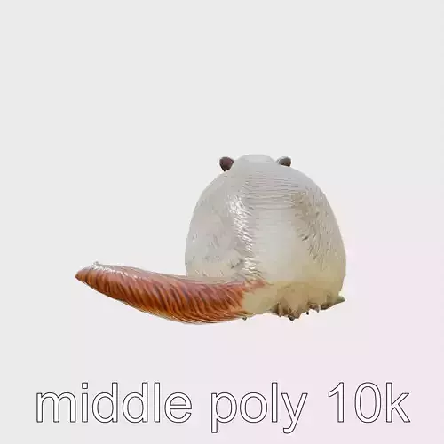Lifelike Nutria 3D Model with Detailed Fur Low-poly 3D model