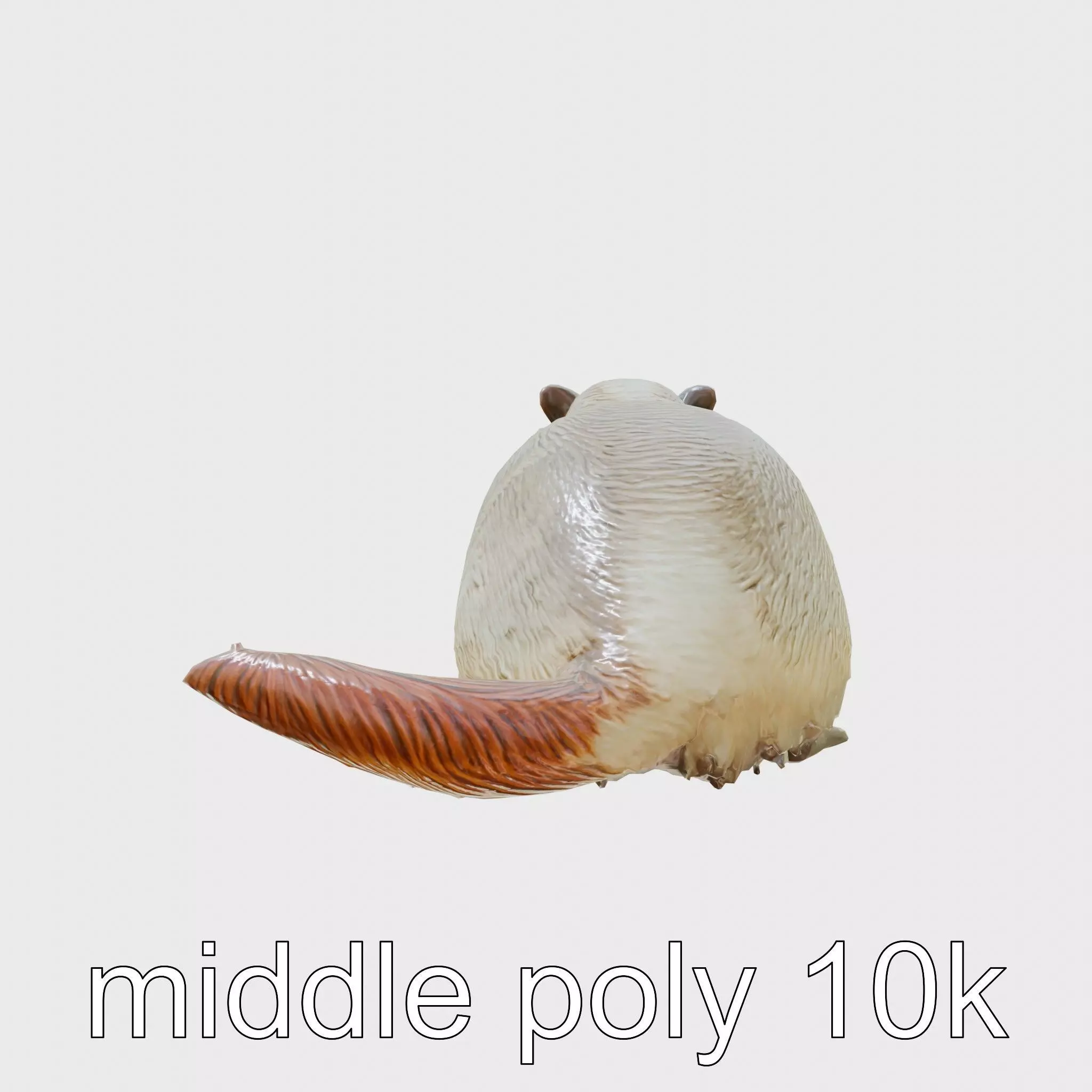 Lifelike Nutria 3D Model with Detailed Fur Low-poly 3D model