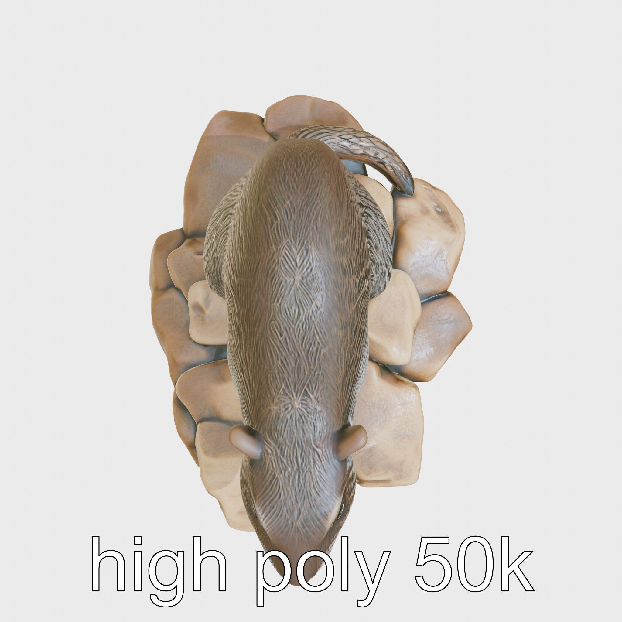 Nutria River Stone Sculpture with Realistic Fur Textures Low-poly 3D model_29