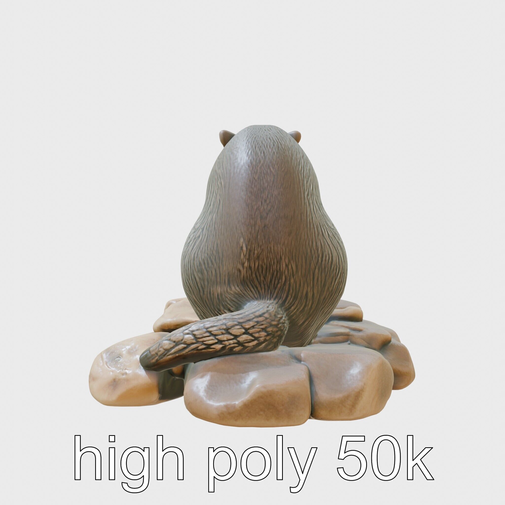 Nutria River Stone Sculpture with Realistic Fur Textures Low-poly 3D model_5