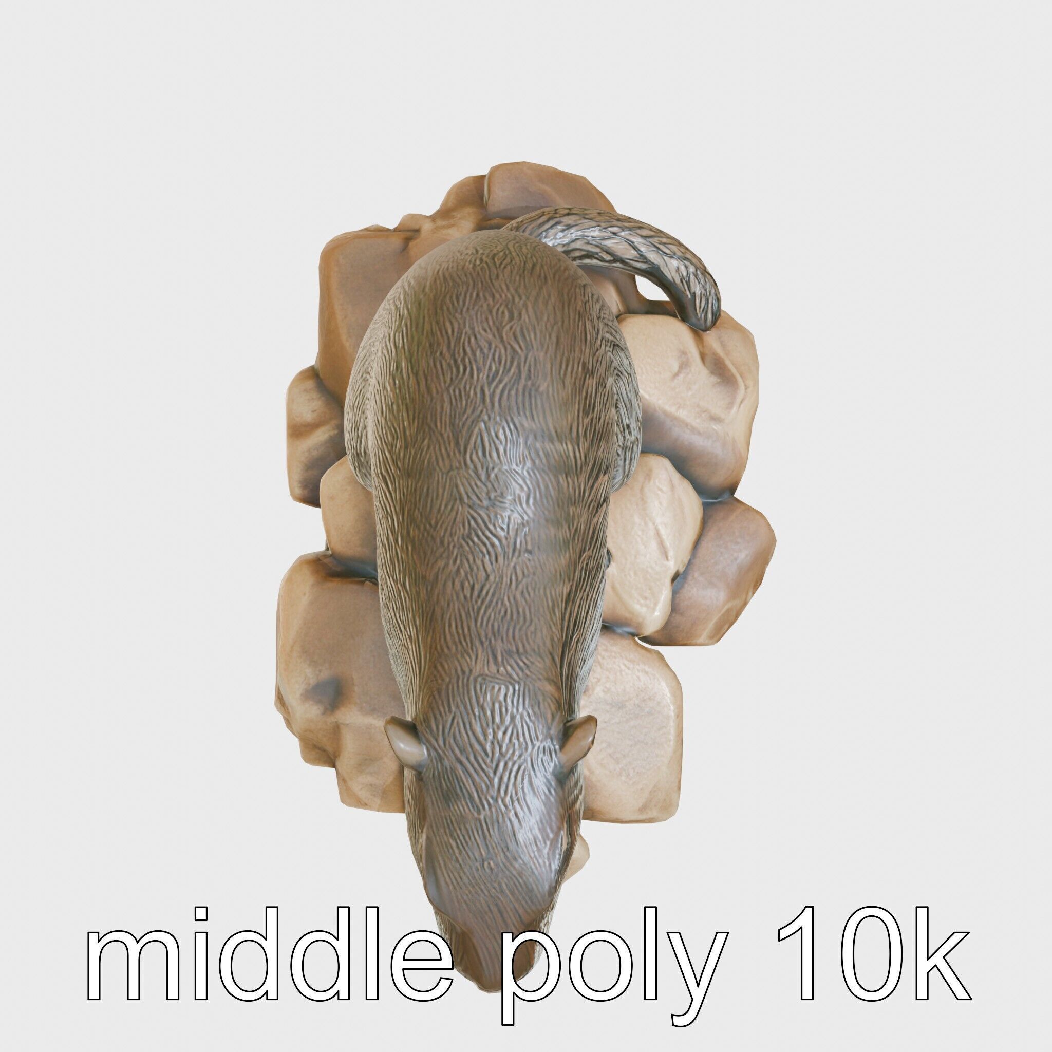 Nutria River Stone Sculpture with Realistic Fur Textures Low-poly 3D model_31