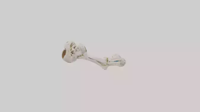 Human Ulna Skeleton model Low-poly 3D model