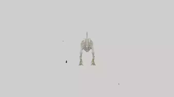 chthyosaurus Skeleton model