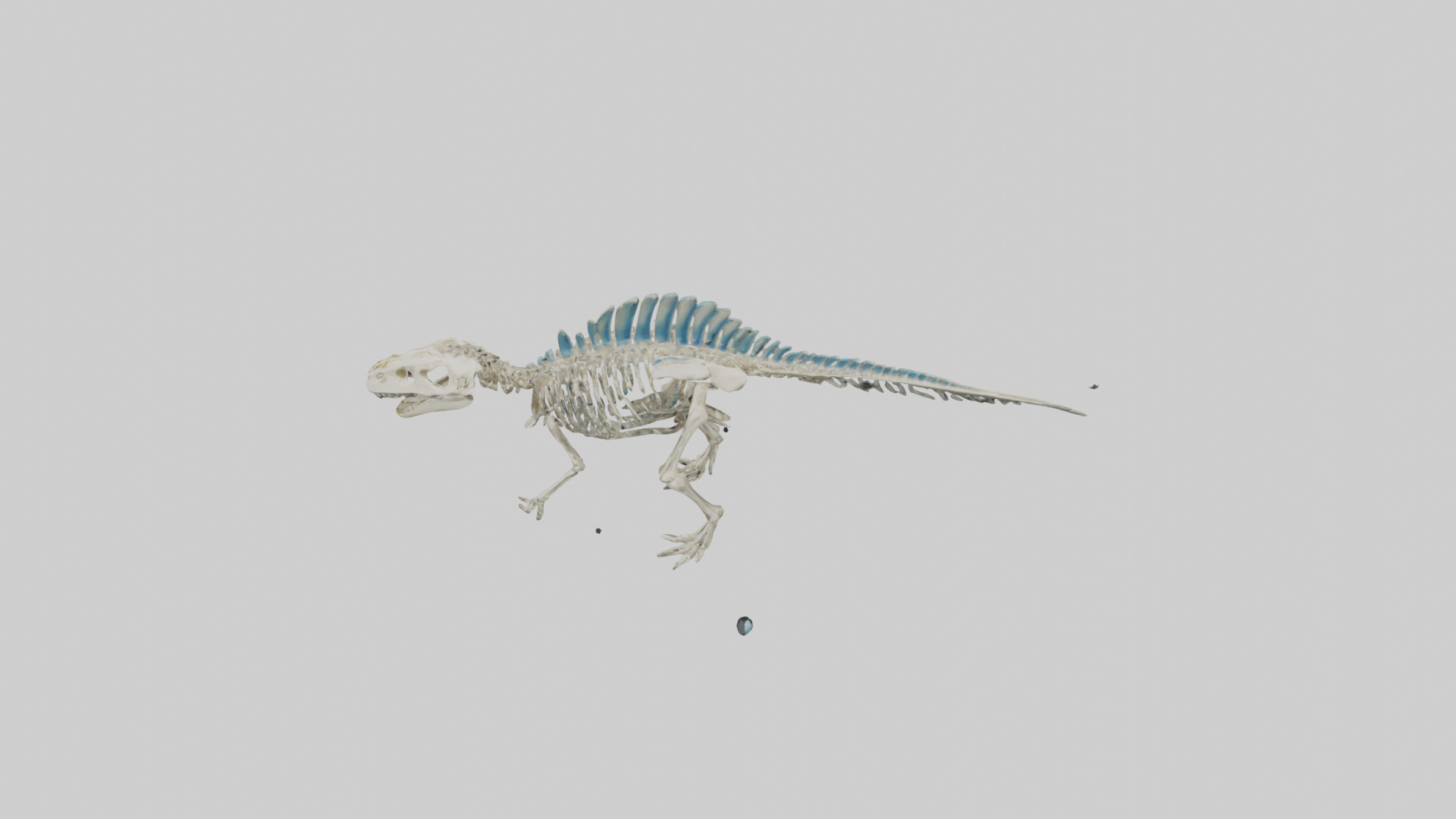 chthyosaurus Skeleton model Low-poly 3D model_17
