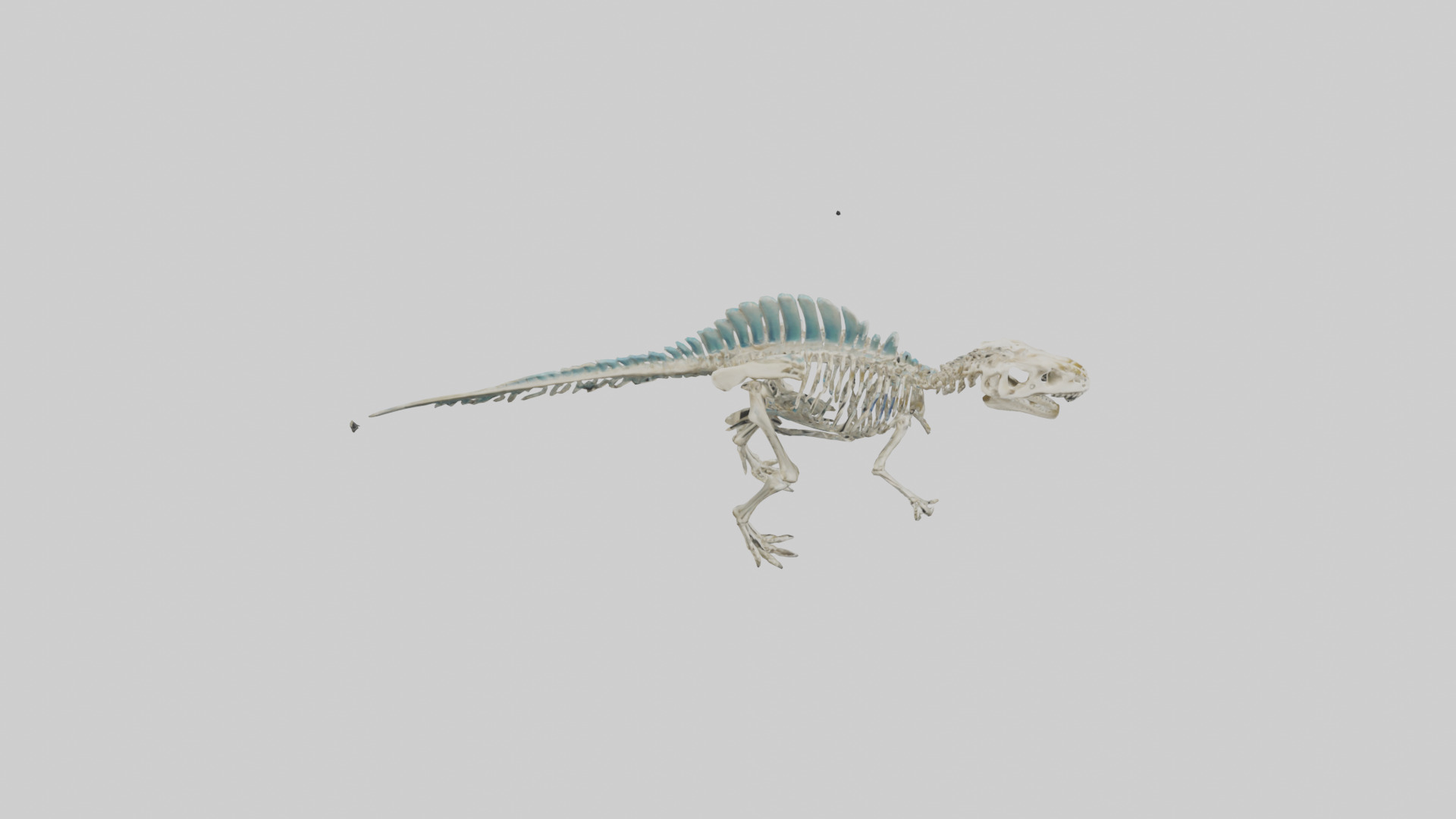 chthyosaurus Skeleton model Low-poly 3D model_18