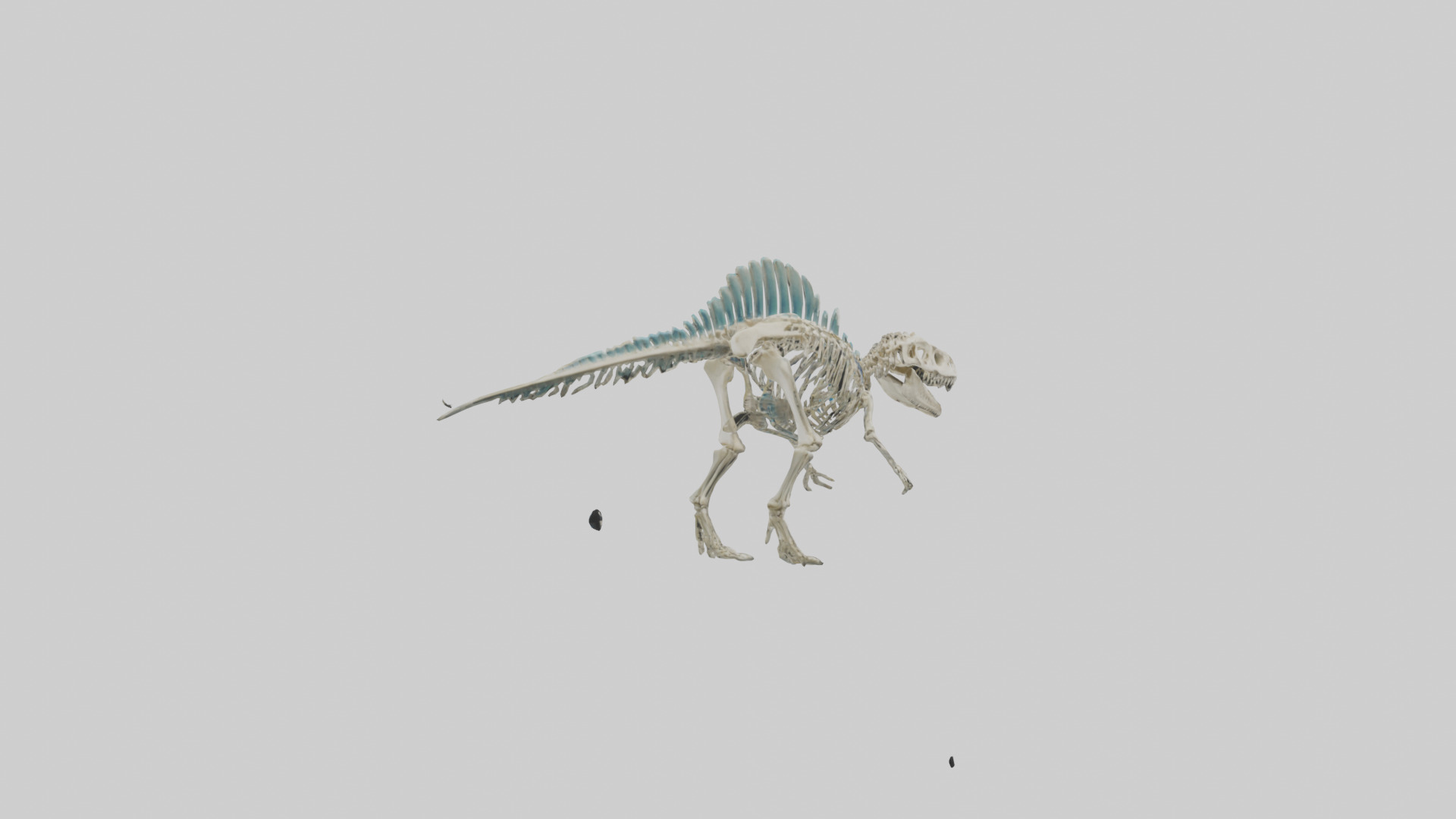 chthyosaurus Skeleton model Low-poly 3D model_2