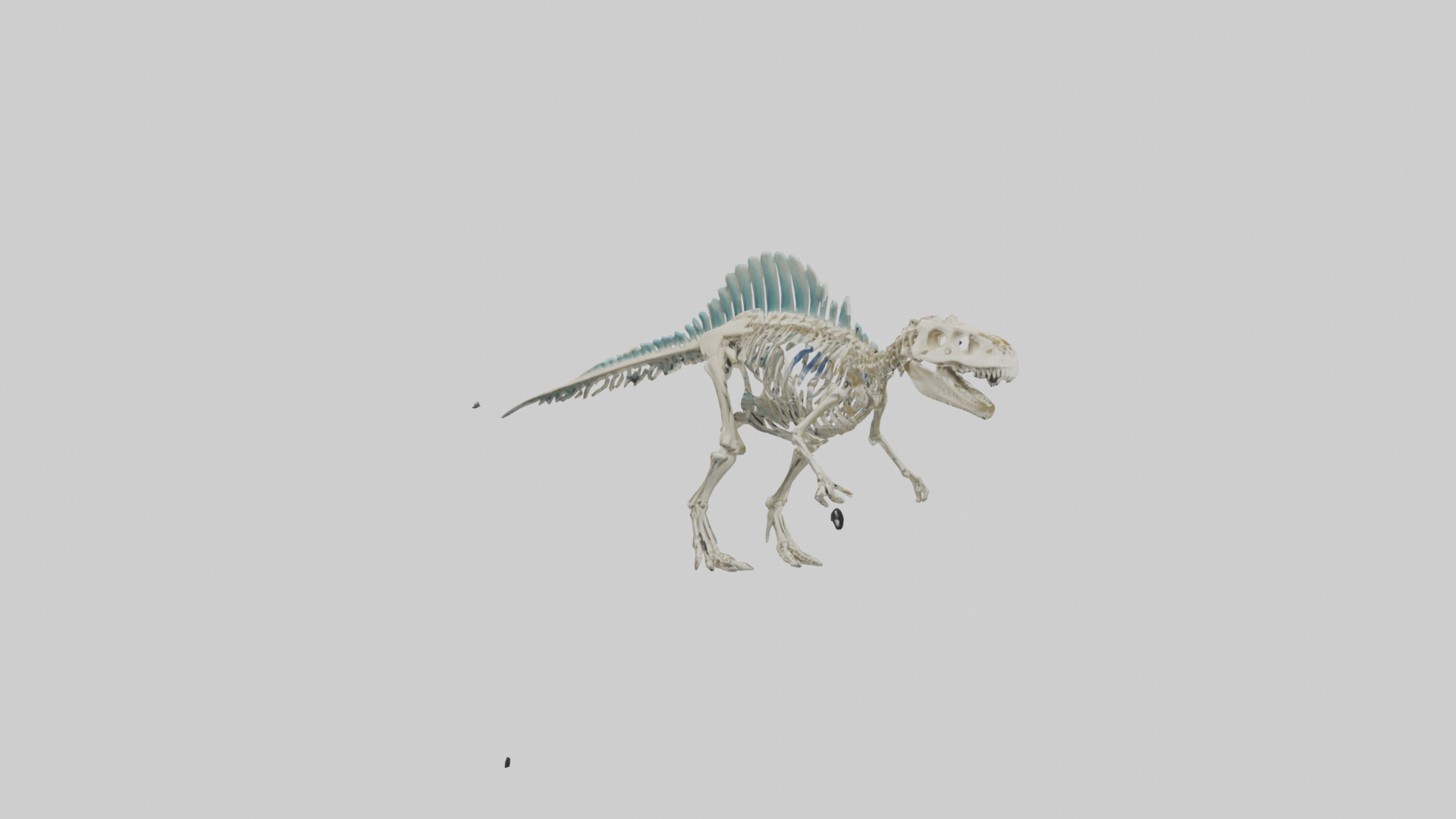 chthyosaurus Skeleton model Low-poly 3D model_11