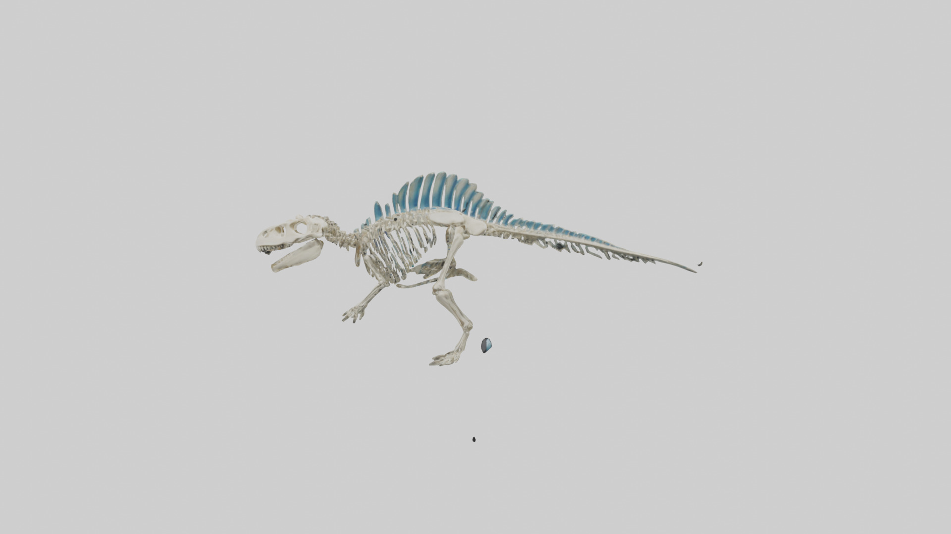 chthyosaurus Skeleton model Low-poly 3D model_12