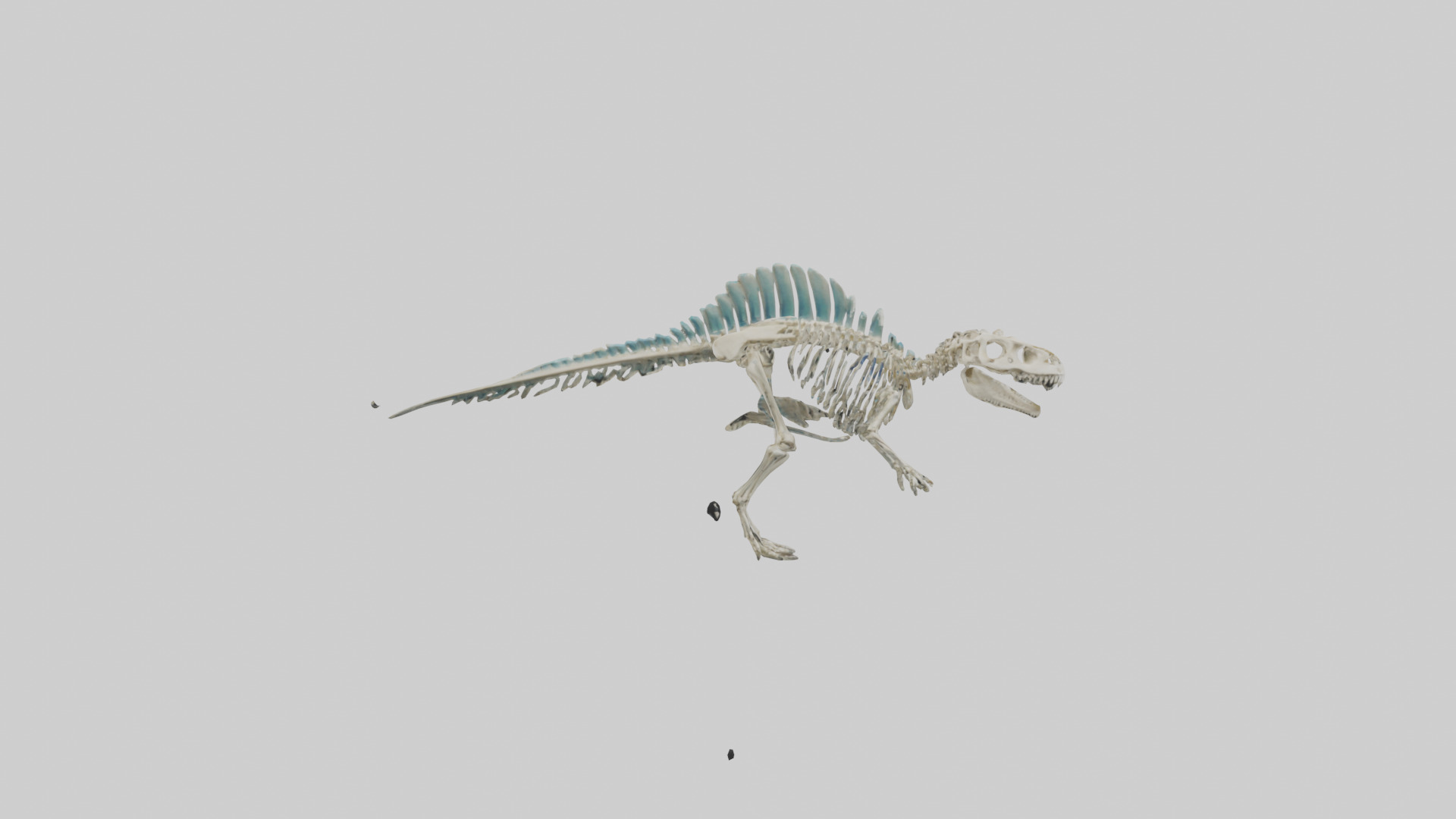 chthyosaurus Skeleton model Low-poly 3D model_13
