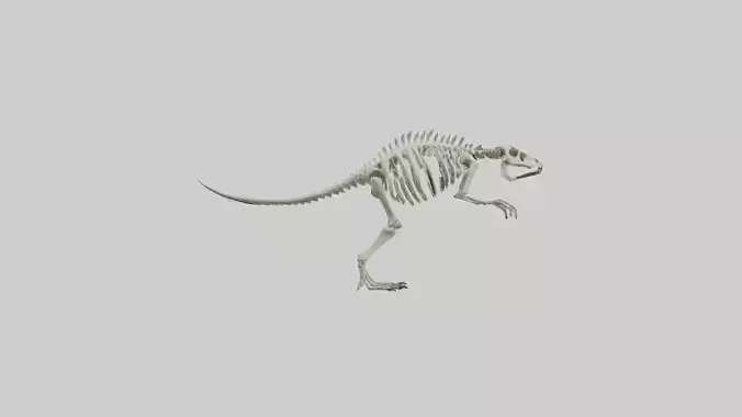 guanodon Skeleton model