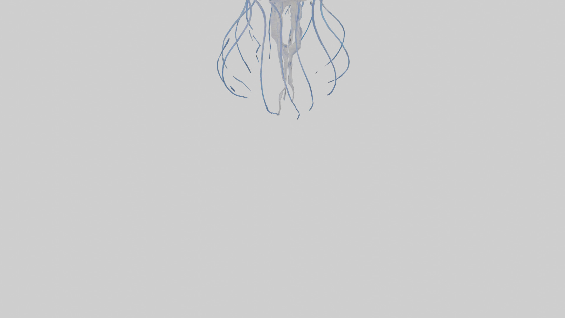 Jellyfish Skeleton model Low-poly 3D model_4