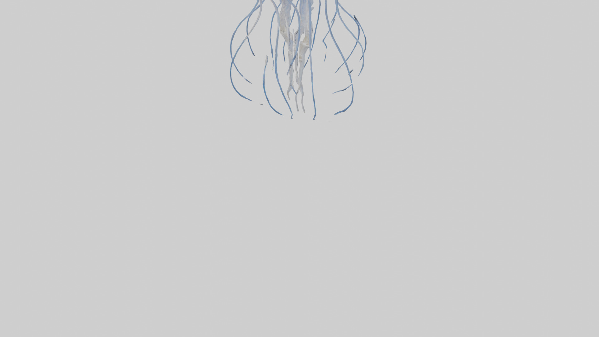 Jellyfish Skeleton model Low-poly 3D model_5