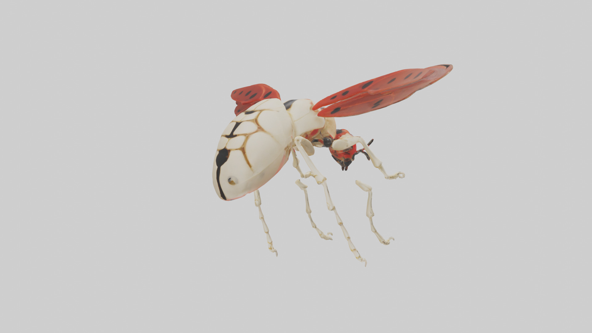 Ladybug Skeleton model 3D model_27