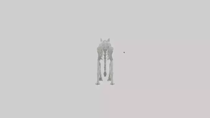 Lynx Skeleton model
