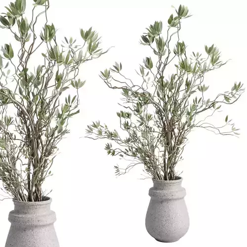 Branches with leaves in an old concrete vase 70