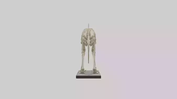 Megatherium Skeleton model Low-poly 3D model
