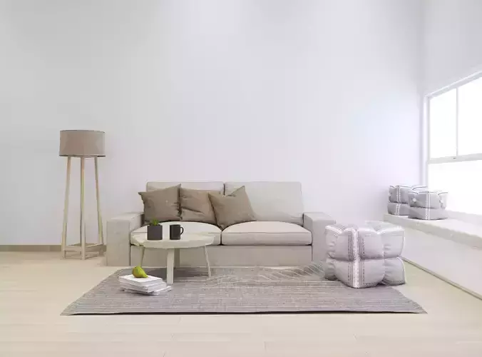 Modern minimalist living room