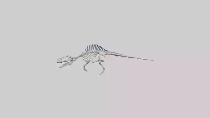 Mosasaurus Skeleton model