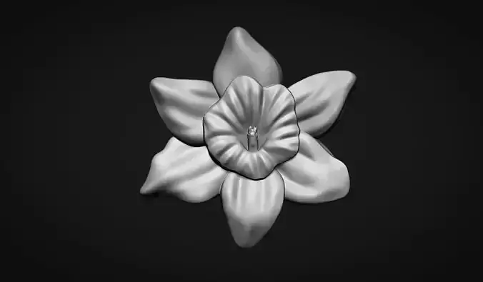 Daffodil Flower Bas Relief 3D print model