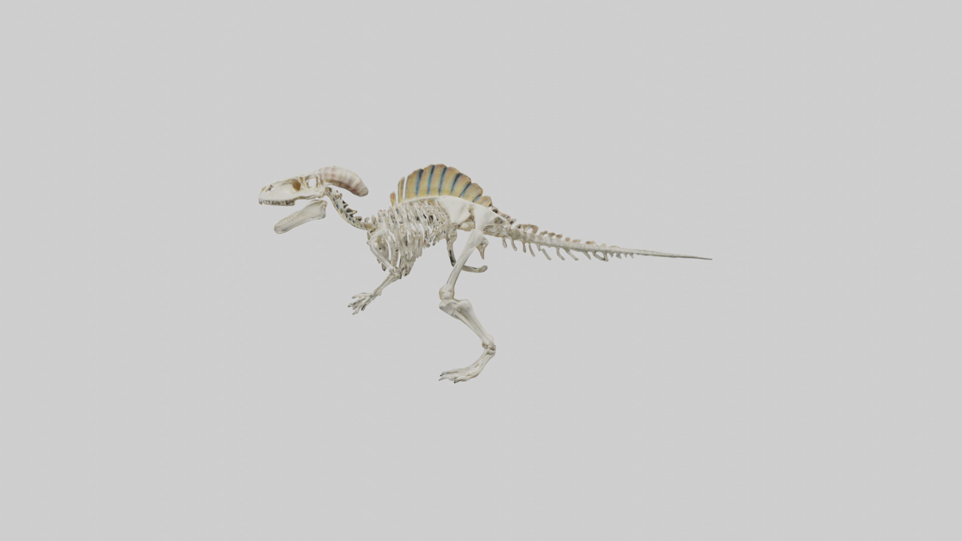 Pachycephalosaurus Skeleton model Low-poly 3D model_12