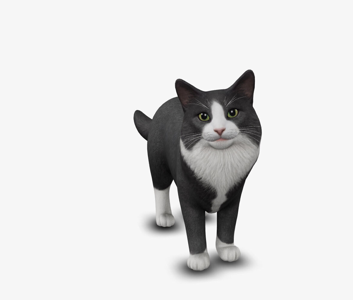 Cat Norwegian forest 3D model_1