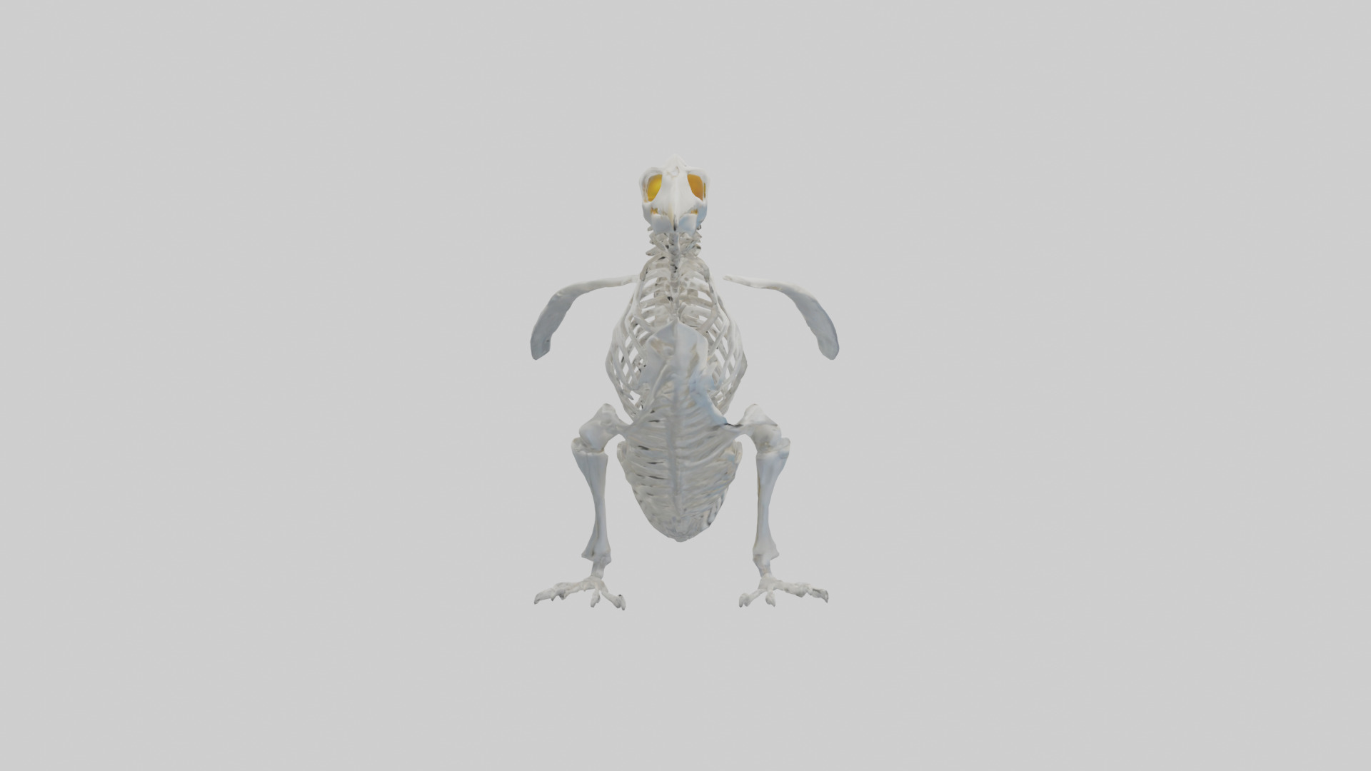 enguin Skeleton model Low-poly 3D model_13