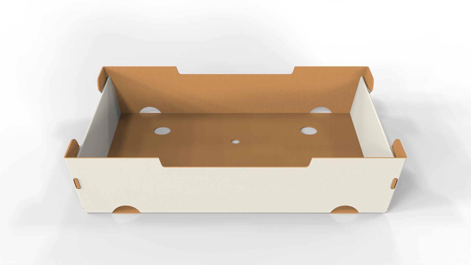 Cardboard Retail Display Tray for Product Packaging Merchandise Texture_1