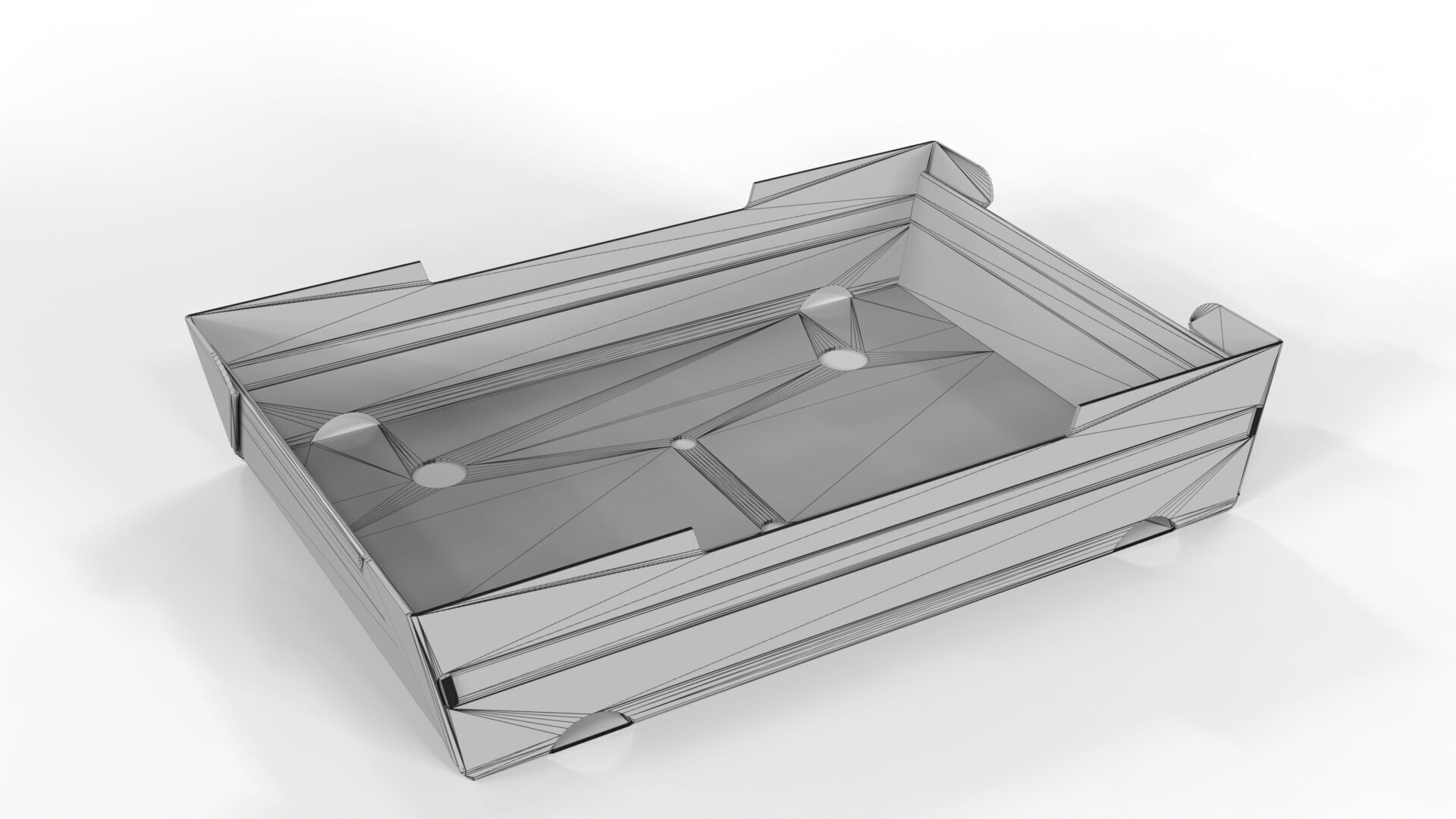 Cardboard Retail Display Tray for Product Packaging Merchandise Texture_3
