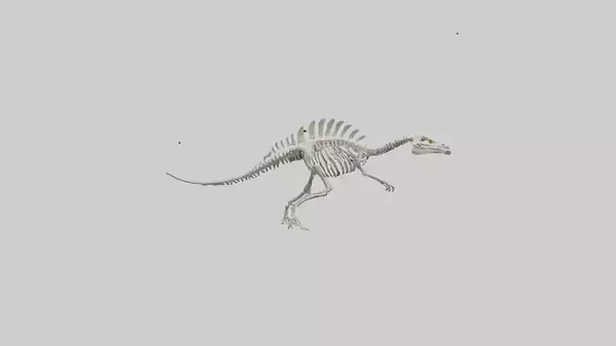 Plesiosaurus Skeleton model