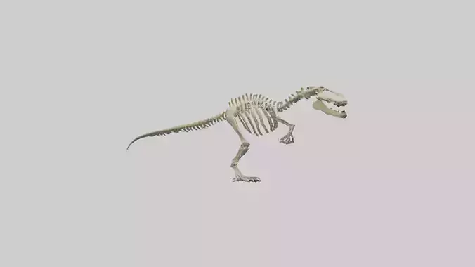 Postosuchus Skeleton model