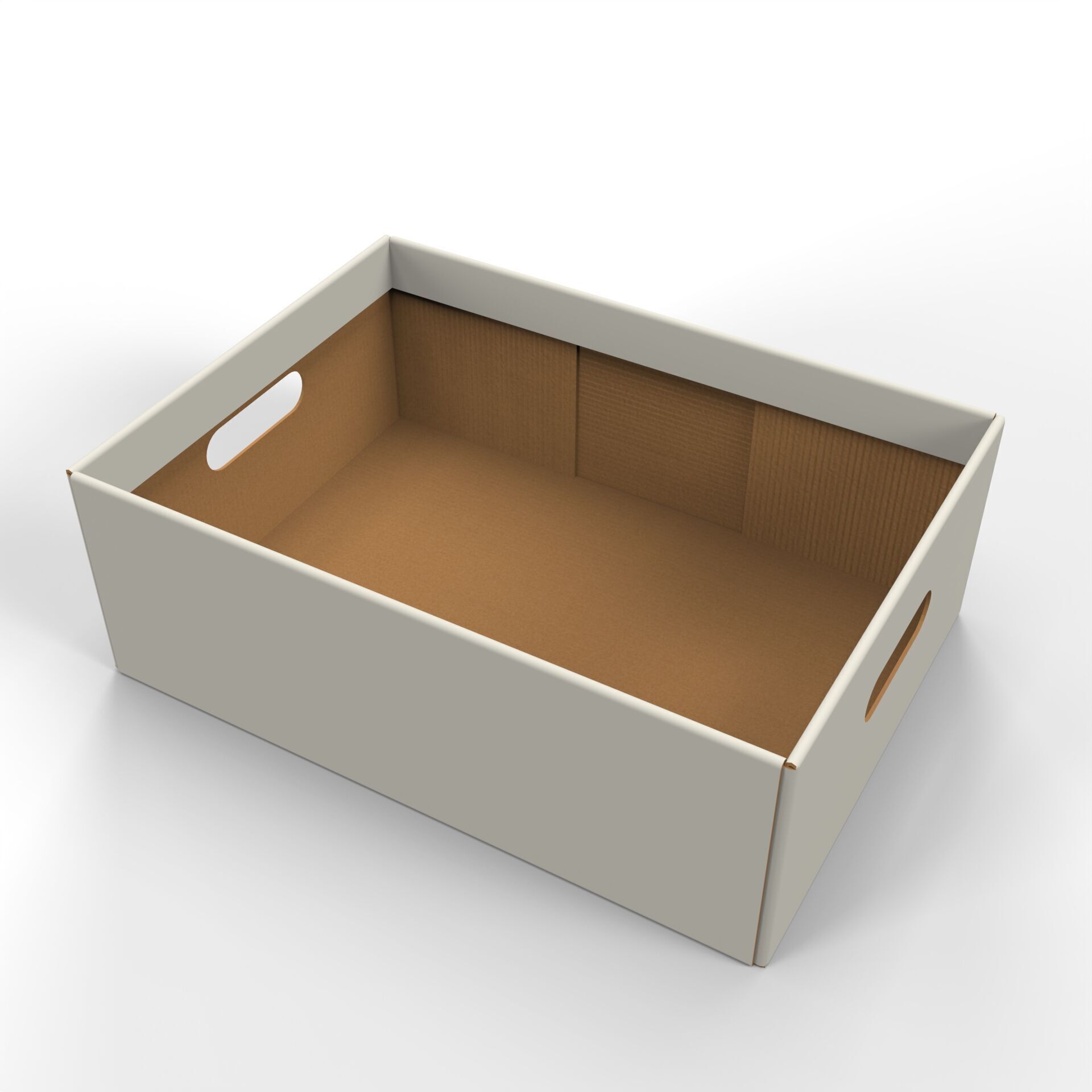 Cardboard Retail Display Tray for Product Packaging Merchandise Texture_2