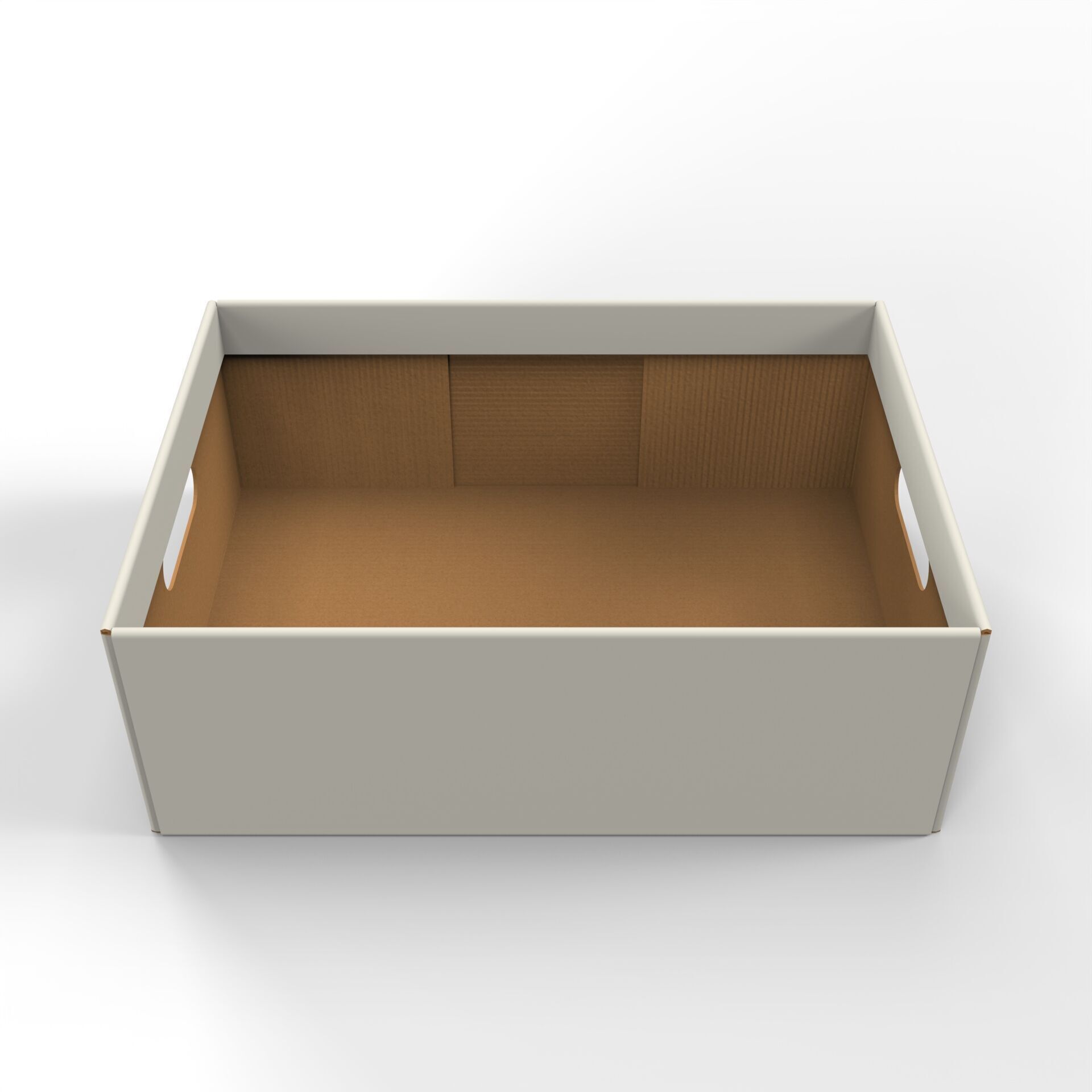 Cardboard Retail Display Tray for Product Packaging Merchandise Texture_1