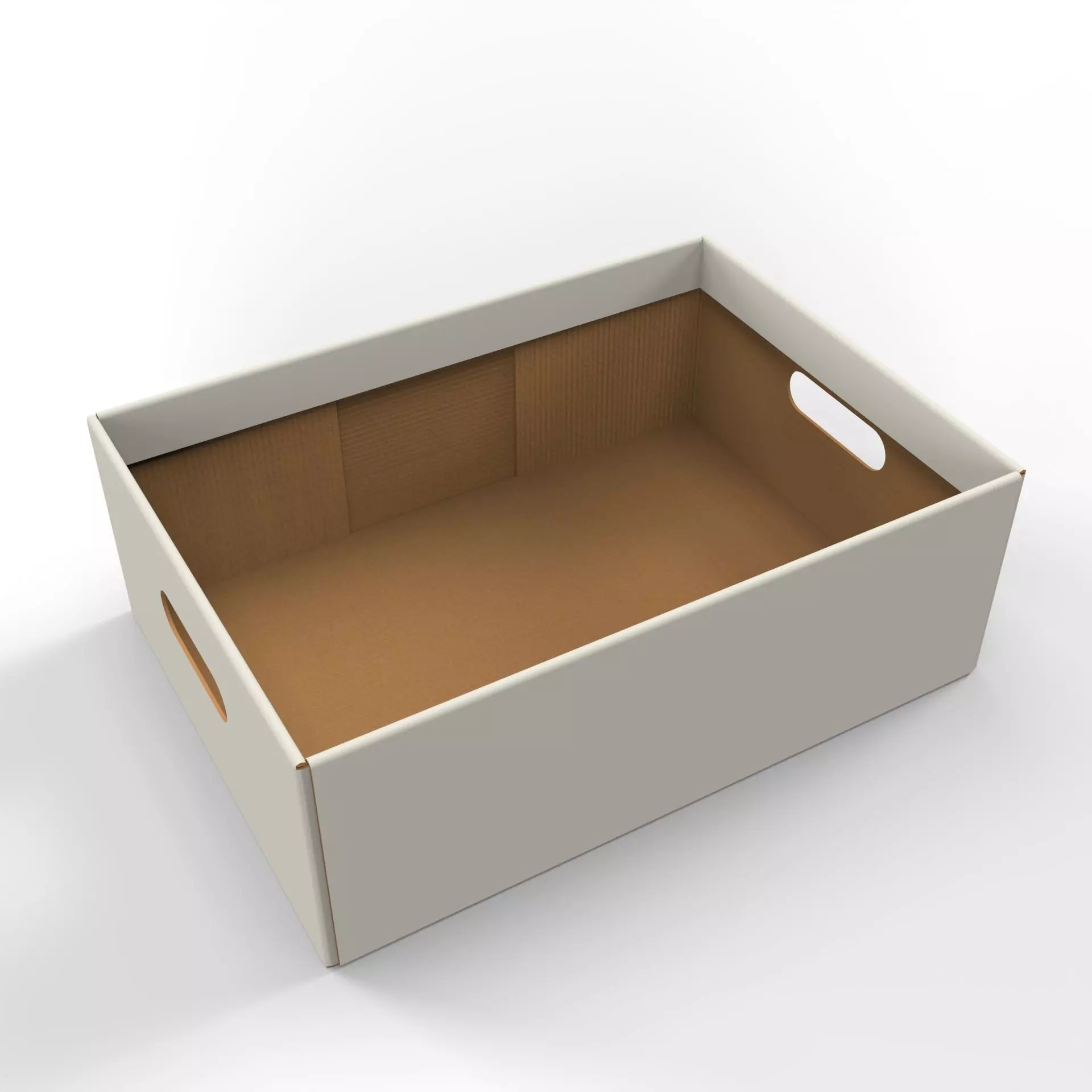 Cardboard Retail Display Tray for Product Packaging Merchandise Texture_0