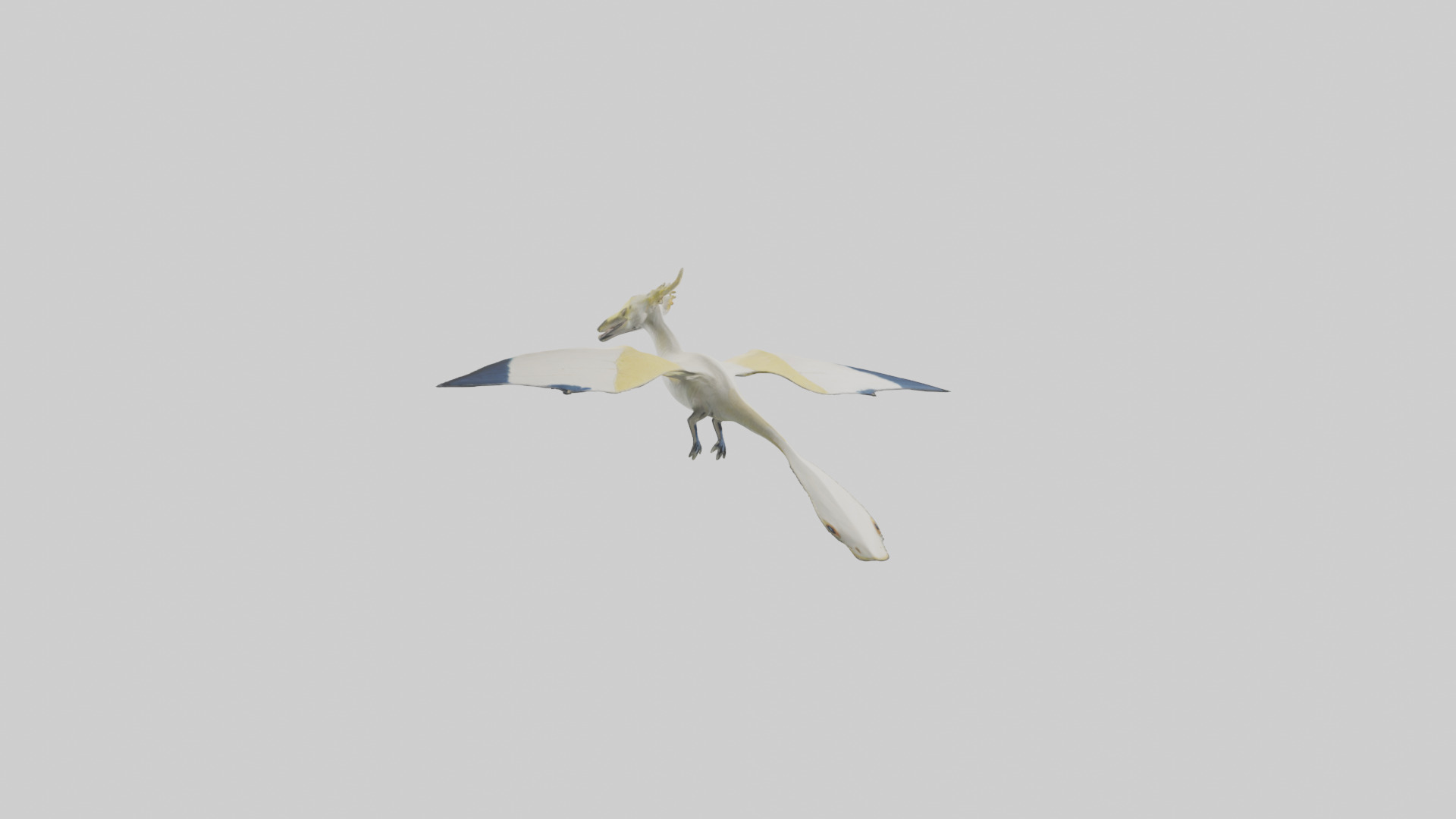 Rhamphorhynchus model Low-poly 3D model_7