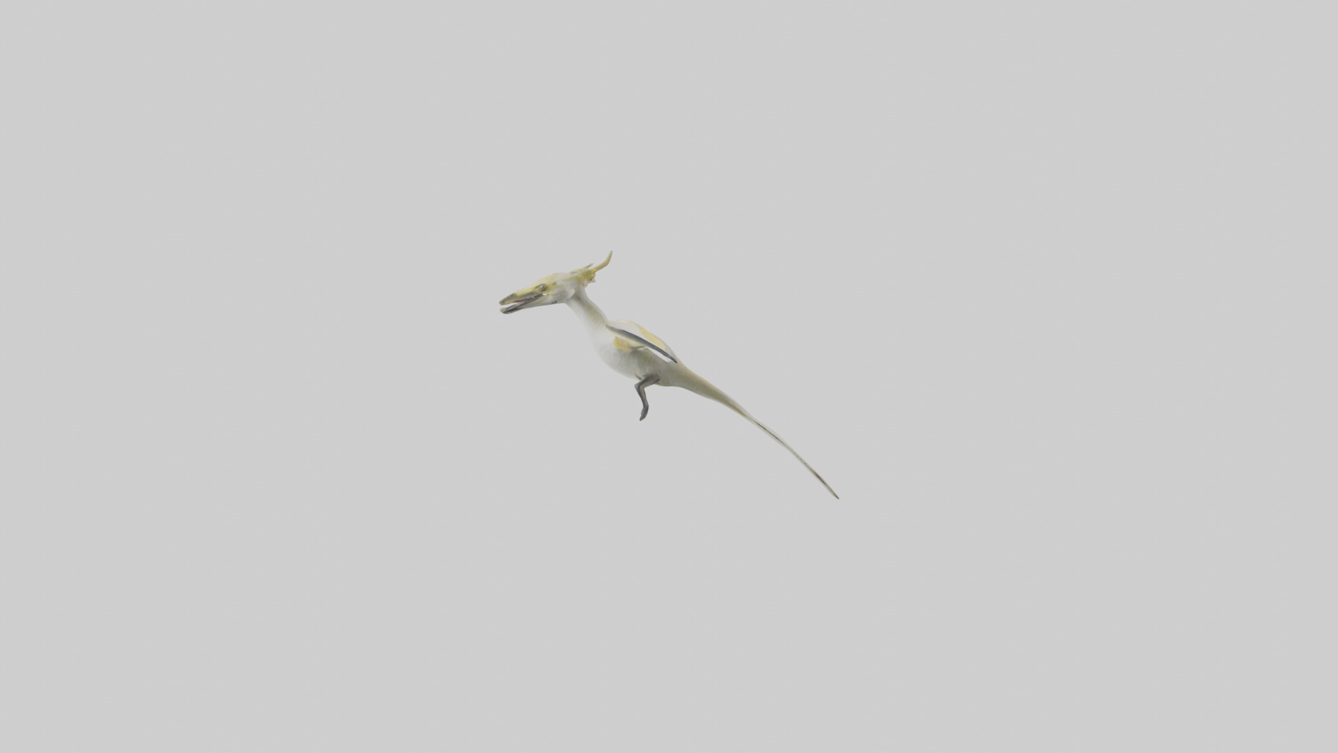 Rhamphorhynchus model Low-poly 3D model_13
