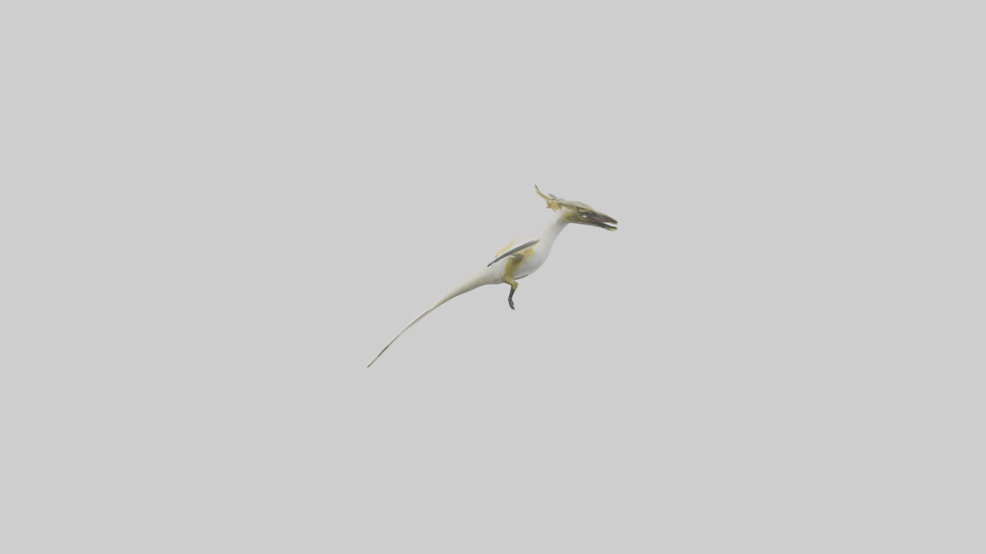 Rhamphorhynchus model Low-poly 3D model_12