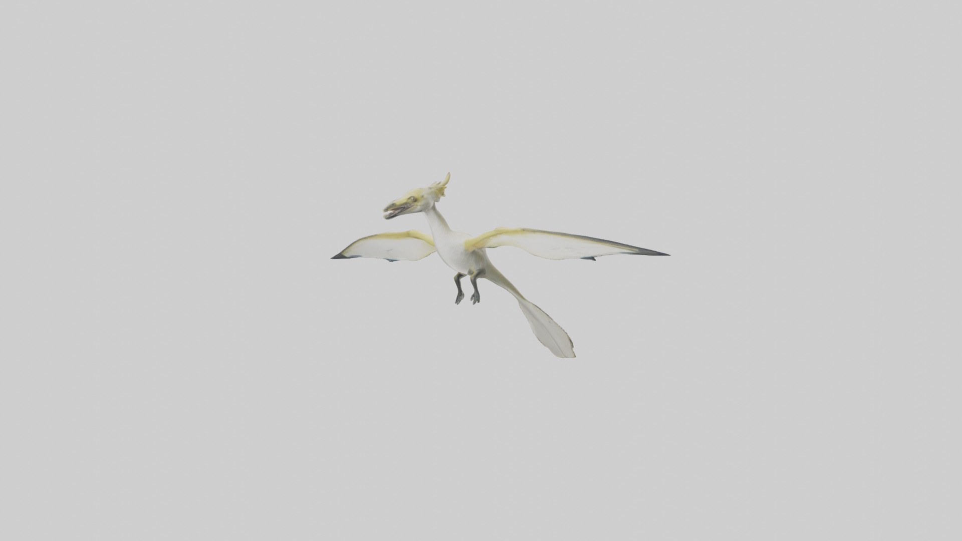 Rhamphorhynchus model Low-poly 3D model_2