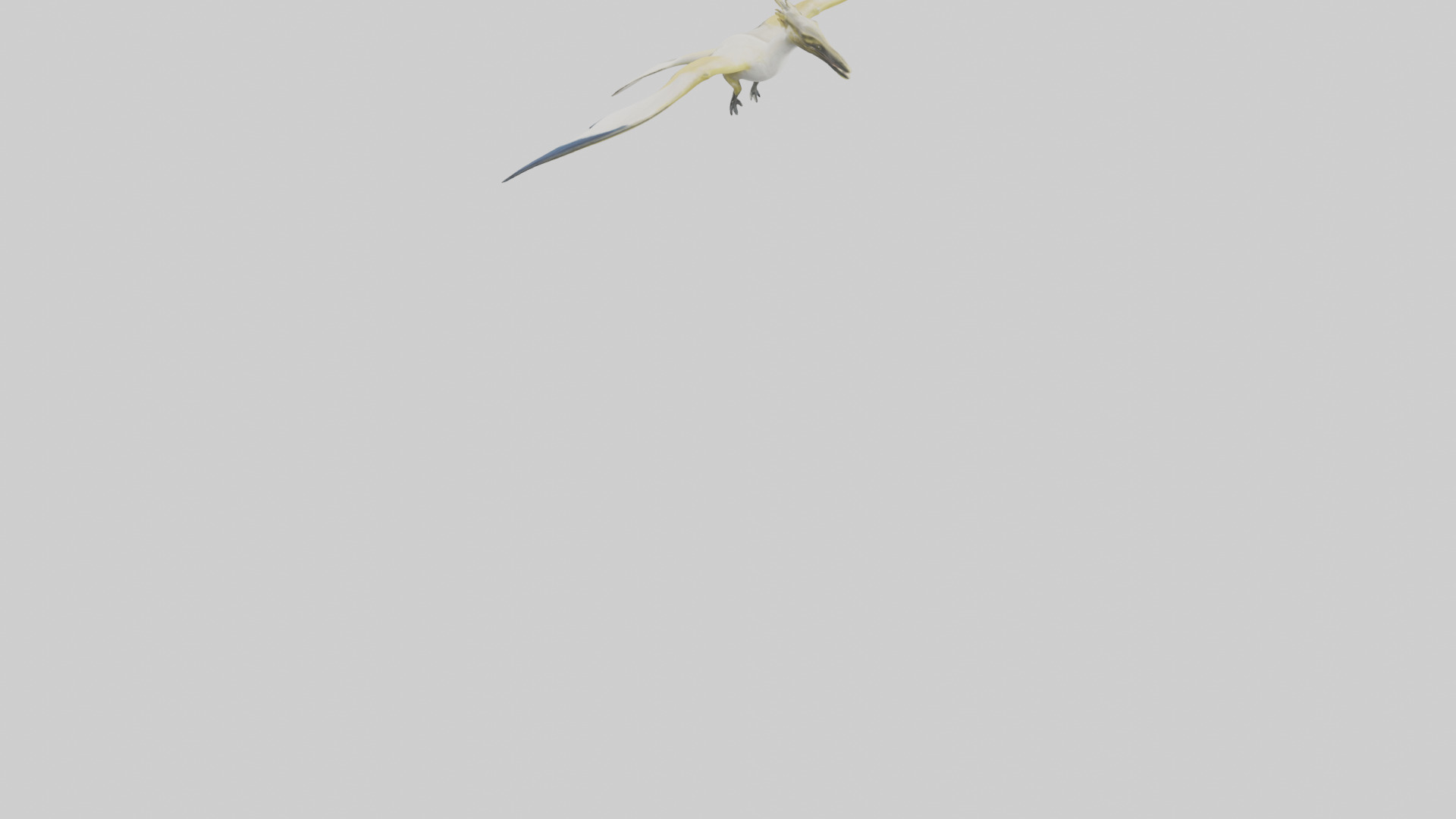 Rhamphorhynchus model Low-poly 3D model_3
