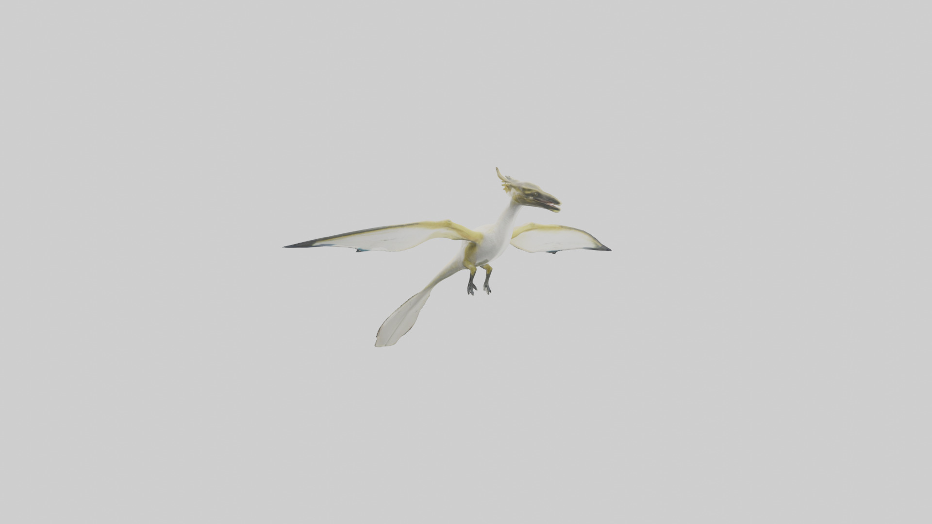 Rhamphorhynchus model Low-poly 3D model_1