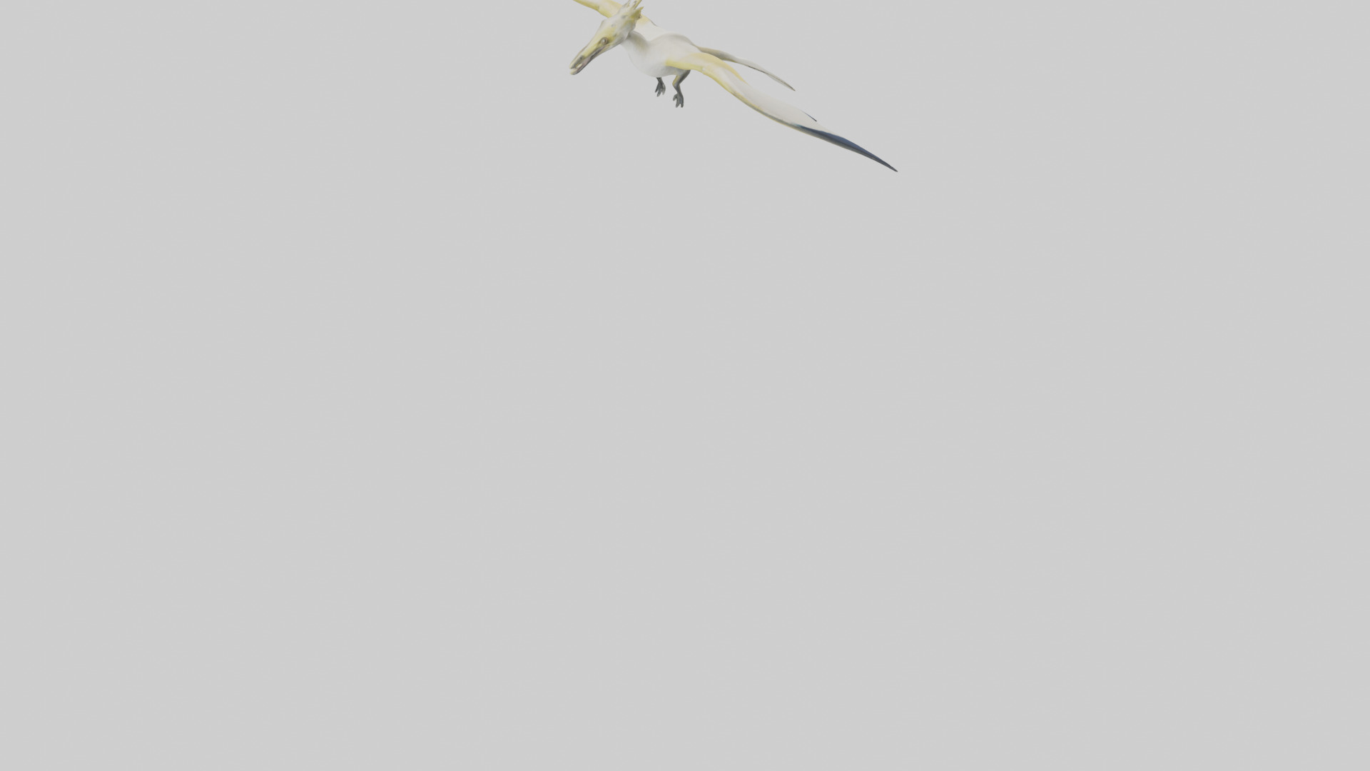 Rhamphorhynchus model Low-poly 3D model_4