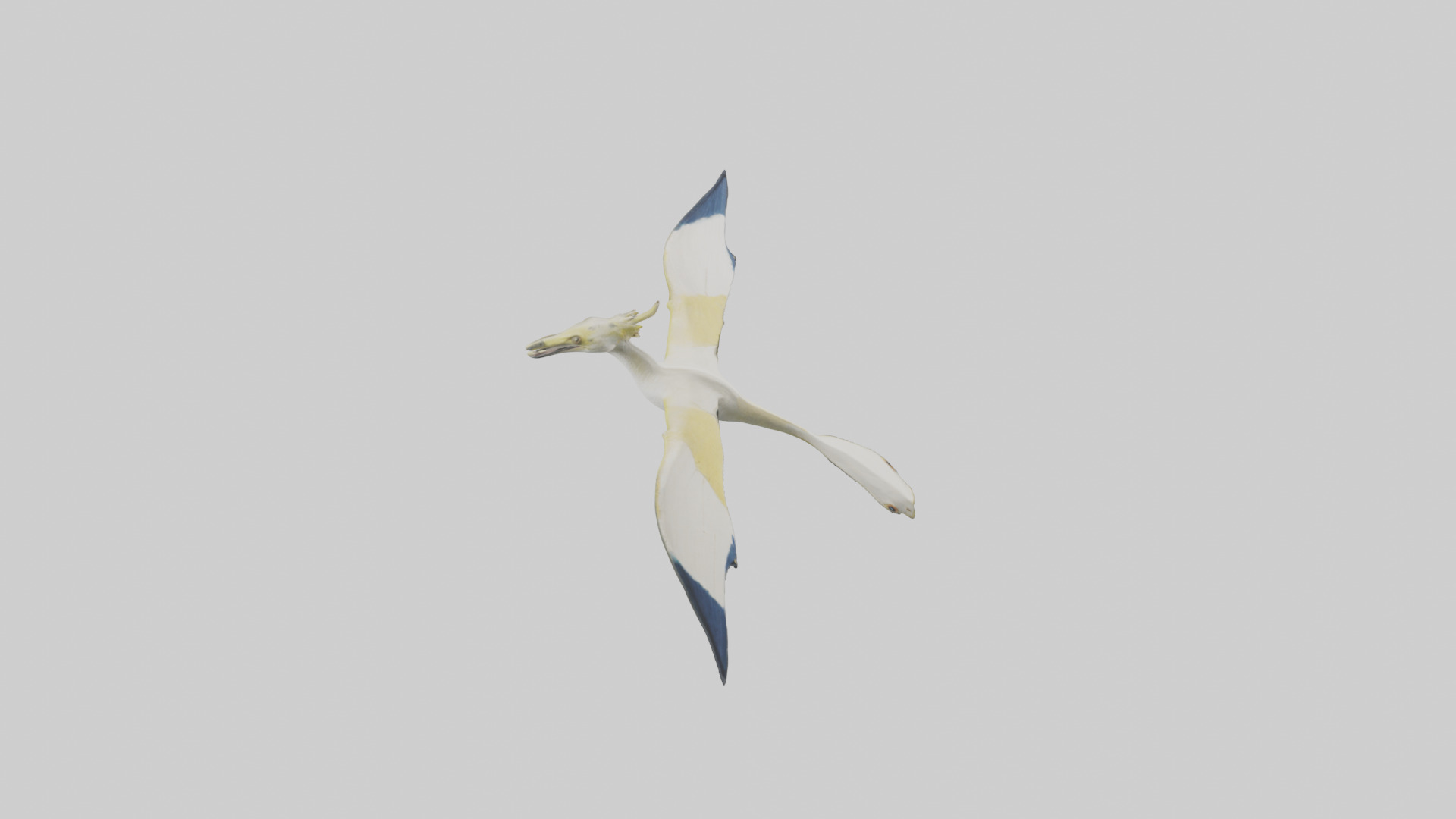 Rhamphorhynchus model Low-poly 3D model_18