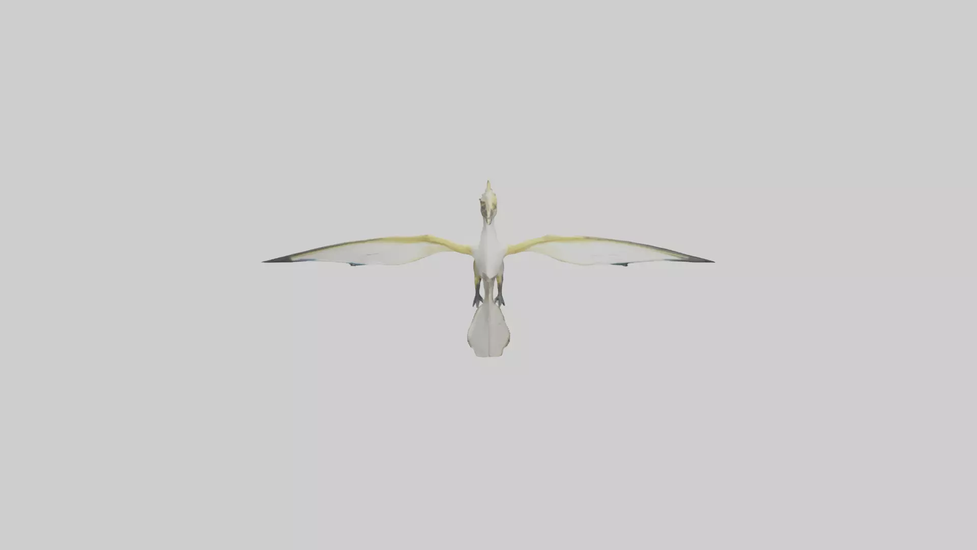 Rhamphorhynchus model Low-poly 3D model_0