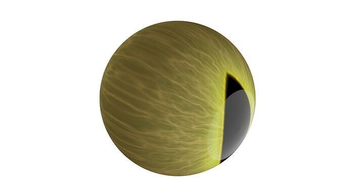 Cat Eyeball 3D model